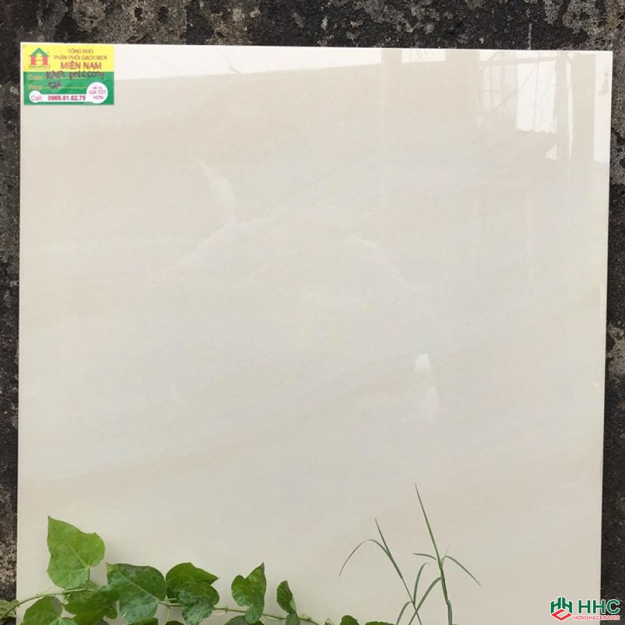 Gạch 60x60 TTC KA17PN66001